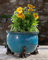 Potty Feet Schnauzer Figures Plant Pot Feet - Planter Support - Handmade Decorative Ornaments - 3pcs