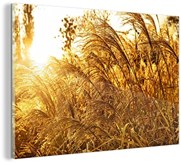 MuchoWow Glasbild Glasfoto Wandbild Bilder Deko 150x100 cm Pampasgras - Sonne - Gras
