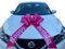 Chexin Riesige Große Rosa Schleife für Auto Geburtstag，Happy Birthday,Geschenkschleife Große - XXL 58.4 cm, und Schleife mit 185 cm Bänder, Riesige Autoschleife, Große Masche, Car Bow für Fahrrad