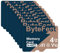ByteFest Lot de 20 cartes micro SD 4 Go Classe 10 avec 20 adaptateurs SD, carte mémoire TF pour lecteur MP3, MP4, liseuse, lecteur multimédia en continu, navigateur GPS, caméra de bord, téléphone,