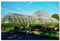 UK England Royal Botanic Gardens Kew Richmond-upon-Thames Jigsaw Puzzle for Adults 1000 Piece Wooden Travel Gift Souvenir