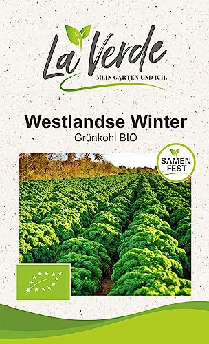 Grünkohl Westlandse Winter BIO