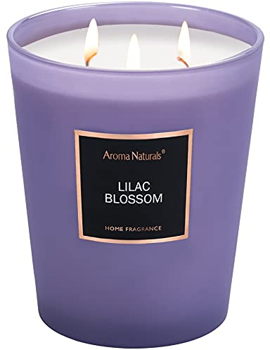 Aroma Naturals Duftkerzen | Große Kerze im Glas - 943 g Natürliche Soja-Aromatherapie-Kerzen | Bis zu 130 Stunden mit 3 Baumwolldochten, Heimdeko Duftkerzen Geschenk (Fliederblüte)