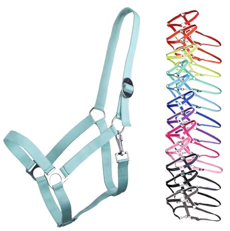 NETPROSHOP Halfter ODER Führstrick Einfarbig für Ihre Lieblinge Mini Shetty bis XL Full, Groesse:Pony, Farbe:Ice Green