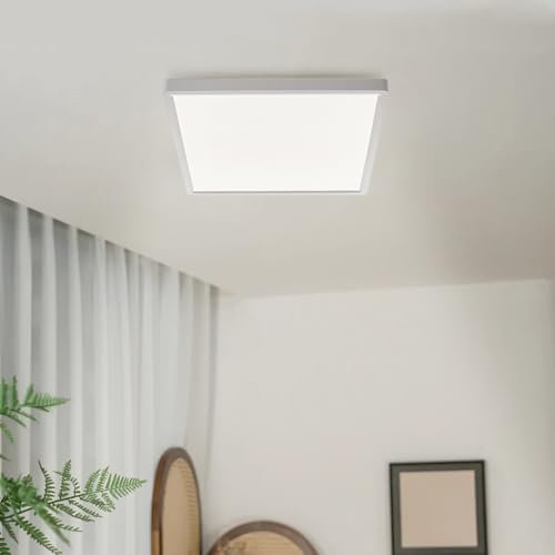 Warmiehomy RGB LED Ceiling Light Dimmable, Smart Light with Bluetooth Speaker,APP Control,24W,Flush Ceiling Lamp for Living Room,Bedroom,3000-6000K,Square,40CM