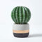 HOMESCAPES Petit Cactus Artificiel Echinocactus Grusonii en Pot à Rayures 18 cm