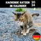 Kackende Katzen Kalender 2024