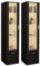 Vitrine LED avec Porte et Etagères en Verre, Lumières Armoire à Meuble de Rangement pour Salon Bureau, 42 x 30 x 160 cm (2, Noir)