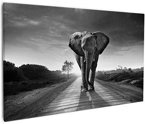 Wallario Leinwandbild Elefant bei Sonnenaufgang in Afrika schwarzweiß - Wandbild 60 x 90 cm: Kunstdruck | Brillante lichtechte Farben | hochauflösend | verzugsfrei