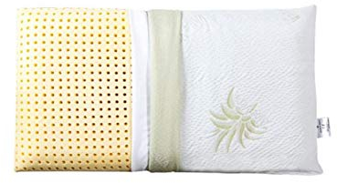 EVERGREENWEB 1 Kissen 100% Memory Foam aus Aloe Vera und Baumwolle, Waschbarer Bezug, Seifenmodell, 9 cm Hoch