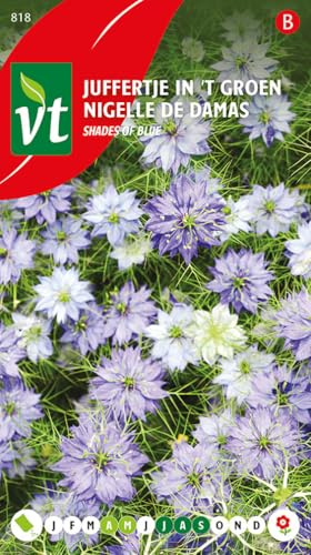 Nigelle de Damas Shades of blue Graines - Bonnes fleurs à couper