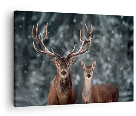 Bilder auf Leinwand Hirsch Rentier Reh Leinwandbild mit Rahmen 70x50cm Wandbilder Dekoration Wohnzimmer Schlafzimmer Küche Deko Klein Wanddeko Bild Wand Kunstdruck Art Wall Decor Canvas AA70x50-5060