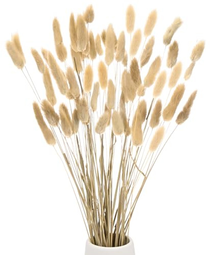 M METERXITY 50er-Pack Häschen Schwanz Gras 17 Zoll Flauschiger Kaninchen Schwanz Gras Getrocknete Blumen Zweige Vasenfüller Getrocknetes Pampas Gras Dekor für Zuhause/Vase/Büro[Natürlich]