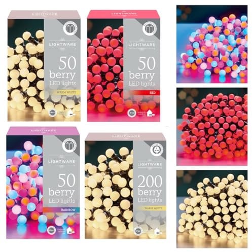 Daniel James 50 Berry Frosted LED Fairy Lights – Multi Coloured LED String Lights for Indoor & Outdoor – Waterproof IP44 Battery Operated Christmas Lights: Multicolour