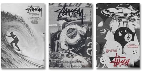 Hotoice Stussy-Poster, Retro-Musik, Vintage-Cover, Wandkunst, Leinwandposter, Raumdekoration, ästhetischer Druck, Dekoration, 20 x 30 cm, 3 Stück Stil, 3 Stück