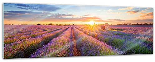 Bilderdepot24 Glasbild Lavendelfeld in Südfrankreich - 120x40 cm - Deko Glas - brilliante Farben, inkl. Aufhängung