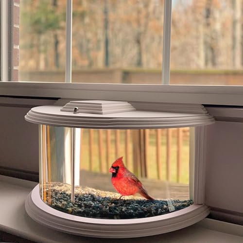 BAIAPEY Window Bird Feeder - 180° Clear View Bird Feeder, Durable, Elegant in-Window Bird Feeder for Bird Watching - Bring Joy to Your Home.