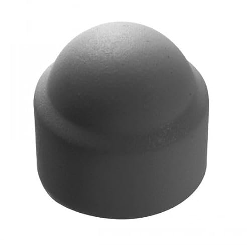 ACTON Cache ecrou hexagonal gris anthracite - RAL 7016 - Polyéthylène M10 - Boîte de 100 - Vis, pointes, boulons