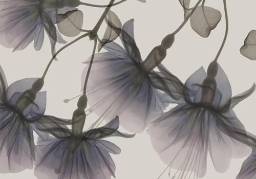 LSumCuyoo Retro Grey Floral Striped Geometric Kids Wood 3D Effect Modern Romantic Transparent Daffodil Flower Boys Girls Black and White Removable Living Room Photo Wallpaper