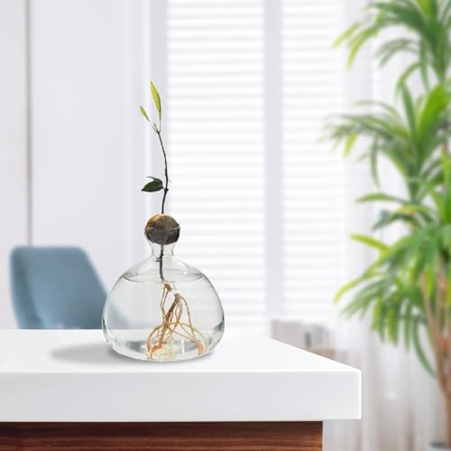 Avocado-Samen-Vase-Pflanzgefäß, transparenter Avocado-Baum-Anzuchtset-Topf, Avocado-Anbau-Glas-Pflanztopf, Avocado-Spar-Glashalter, Elegante Pflanzenvase, Geschenke für Gartenliebhaber