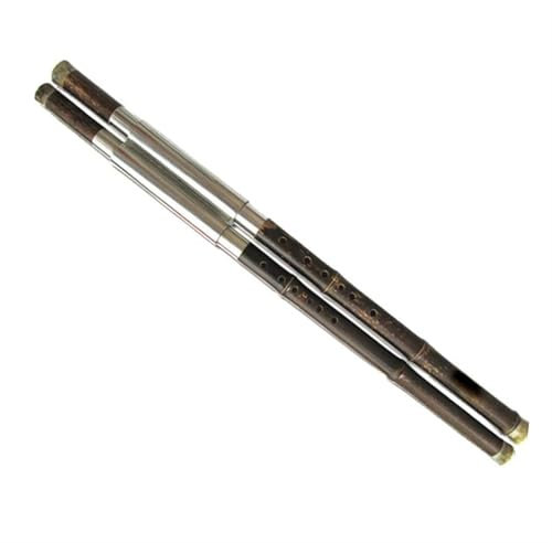 Bambus Professionelle Doppelrohr-Bambus-Bawu-Flöte F + B Flachton Oder C + G-Taste Querflöte Mit Koffer(C+G)