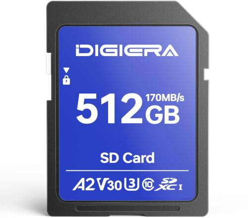 Scheda di Memoria SDXC UHS-I LS100 da 512 GB - Fino a 170 MB/s, C10, U3, V30, 4K UHD, per Computer, Fotocamere Digitali, Dispositivi Home Theatre, Navigatori Auto (Confezione da 1)