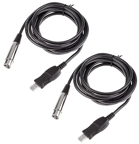 Iyalezirk 2 x USB vers XLR USB MIC Link