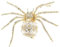 SEPBRIDALS Brosche mit Zirkonia-Kristall, Spinnen-Brosche, Broschen-Anhänger, Damenschmuck, XR04054, Kupfer, zirkonia,