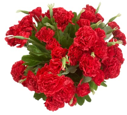 Rikyo Blumenstrauß aus künstlichen Seidennelken, 30,5 cm, Blumenstrauß und grünes Blatt für Foto-Requisiten, Heimparty, Brautschmuck, Hochzeit, Festival, Dekoration, mit 10 Stück pro Strauß (rot)