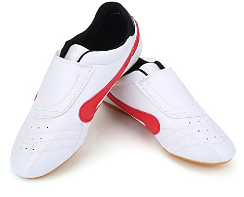 EVGATSAUTO Karate-Schuhe für Herren, Tai-Chi-Schuhe, Unisex, Taekwondo-Boxen, Kung-Fu-Tai-Chi-Sport-Turnschuhe für und Erwachsene (40)