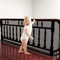 Treppen Schutznetz Kinder,Treppenschutznetz 3m,Geländer Sicherheitsnetz,Treppenschutznetz für Kinder,Treppen sicherheitsnet,Treppengeländer Sicherheitsnetz,Sicherheitsnetz für Kinder,Safety Net Kids