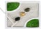 Gift Republic Zen Garden Grow Kit with Seeds, White, GR452148