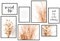 Hyggelig Home Premium Poster Set - 7 hochwertige Pampasgras Bilder - Gräser beige Pflanzen Blumen Gras Deko für Flur Wohnzimmer Schlafzimmer - ohne Rahmen