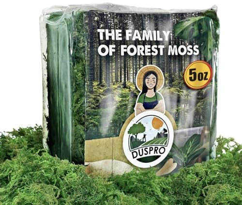 DUSPRO Green Moss for Craft, Artificial Moss for Potted Plants, Preserved Moss Decorative with Centerpieces for Table Wedding Party - Forest Moss Art of Fairy Garden, Terrarium, DIY Project 140gr