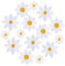 MBAIYO 15pcs White Daisy Iron on Patches, Cute Daisy Flower Applique Patch 3 Style Sew on Embroidered Applique Sewing Patches for Bags, Jackets, Jeans, Clothes, Backpacks, Hats DIY