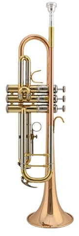 Trompete Die Blasorchester Tritone Bb B die Trompete aus Blechbläsern spielt ist für Anfänger geeignet