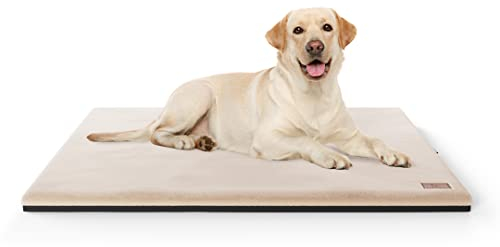 Knuffelwuff Orthopädische kuschelige Hundematte Berrith aus weichem Kaninchenfell-Imitat 60x40cm Beige - Hundekissen für große, mittelgroße und kleine Hunde - Für Zuhause, Auto, Wohnmobil, Wohnwagen