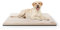 Knuffelwuff Orthopädische kuschelige Hundematte Berrith aus weichem Kaninchenfell-Imitat 60x40cm Beige - Hundekissen für große, mittelgroße und kleine Hunde - Für Zuhause, Auto, Wohnmobil, Wohnwagen