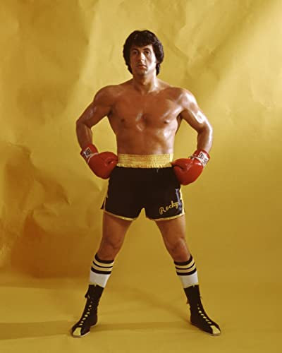 Rocky III (1982) Sylvester Stallone 25,4 x 20,3 cm Foto