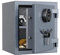 RPNB Deluxe Biometrischer Feuerfester Safe, Touchscreen Digitaler Fingerabdruck Feuerfester Safe mit Abnehmbarem Regal und 3-Speichen-Tresorgriff, Home Safe für Bargelddokumente Schmuck, 23,8L, Grau