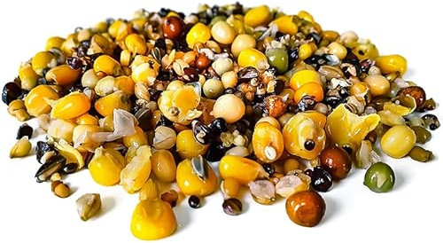 Tigernuessekaufen.de Taubenfutter Angelfertig 5KG | Karpfen Futter