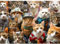 Puzzle 1000 Teile,Puzzle Erwachsene, EIN Herausforderndes Rätsel,Puzzlespiele für Die Ganze Familie,Geschenke für Frauen,Geschenke für Männer,Thema:Fashion Cat-Kollektion