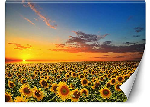 Feeby Vlies Fototapete Sonnenuntergang 300x210 cm Orange Wanddeko Inklusive Kleister Hotel Spa Büro Wohnzimmer Schlafzimmer Flur Sonnenblumenfeld