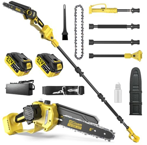 2-en-1 8 Pouces Elagueuse sur Perche, Mini Tronçonneuse Brushless avec 2 x 4,0 Ah Batteries, Coupe Branche Telescopique, Portée 4,2 M pour Branches et jardinage