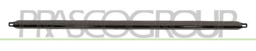 Prasco - ME0451275 - Mercedes - E Class (W212) - Mod. 05/13-01/16 - Zierleiste Stosstange Hinten-Mitte-Schwarz Mod. E63 Amg
