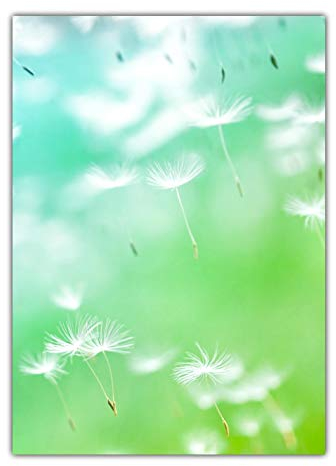 Blumen Motivpapier Briefpapier Pusteblumen im Wind (MPA-5201, DIN A4, 25 Blatt)