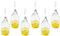 WYSKONT Enghals - Botellas de cristal transparente con tapón de clip (6 unidades, 5 L)