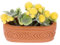 GARVALON Mini Plantes Vertes en Pot, Fleur Miniature, Maison De Poupée, Plante en Pot Miniature, Plante en Pot pour Maison De Poupée, Petite Plante en Pot, Mini Maison, Fleur en Pot,