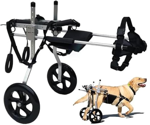 Aluminium-Rollstuhl für große Hunde, Rollstuhl für große Haustiere, 2 verstellbare Hinterbeine, Hundeverschieber für Hinterbeine, geeignet für 35-55 cm Hinterbeine, 25 bis 45 kg Hunde(XXL)