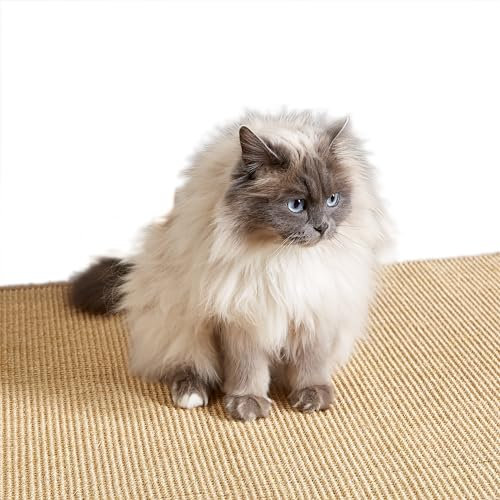 Kratzmatte für Katzen - Fußmatte Sisal Kratzteppich - natürliche Sisalmatte robust - Vorleger aus 100% Sisal - Farbe: Natur 140 x 200 cm